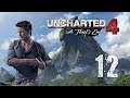Uncharted: A Thief's End - Hidden In Plain Sight - 12