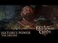 Baldur's Gate 3: Nature's Power - The Druids