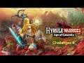 Hyrule Warriors: Age of Calamity Challenges 9 (Very Hard)