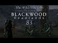 Let's Play ESO - Blackwood: Deadlands [Blind] [Deutsch] Part 83 - Vorbereitung auf den Sturm