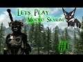 Let's Play Modded Skyrim Episode 1 | Udani the Outlaw