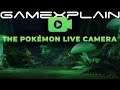 Pokémon Sword & Shield 24-Hour Livestream! The First 4 Hours!