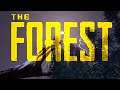The Forest | The Beginning