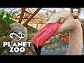 Uma Linda Cobertura para os Flamingos | Planet Zoo #05 | Gameplay pt br