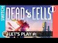 Dead Cells - Let's play #1 sur Nintendo Switch (Docked)