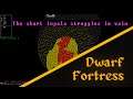 Dwarf Fortress (S10): Episode 1