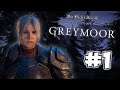 GREYMOOR #1 | Welcome to Skyrim!