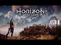 Horizon Zero Dawn | FR | Let's play | #31 Tellement de réponses !
