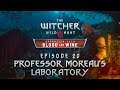 The Witcher 3 BaW - Let's Play [Blind] - Episode 20