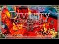 Divinity Original Sin 2 | Honour Mode Walkthrough | Part 258 Abyssal Void Devourer