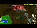 ❆ Let's Play The Legend of Zelda Wind Waker HD Part 38 Flugstunde im Zephir-Tempel❆
