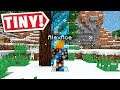 Minecraft BUT IN A TINY BARRIER (It's Back)