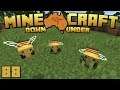 Minecraft Down Under | S3 | Episode 88 | Learning About Bees