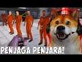 OBIT JADI PENJAGA PENJARA YANG BARBAR! DAN KEJAM!!! - Prison Simulator Indonesia