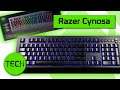Razer Cynosa V2 RGB Keyboard Review - Razer's Best Selling Keyboard ... But Why?