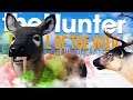 The Hunter Call Of The Wild | PIEBALD VAMPIRE KANGAROO!! (MULTI MOUNTS)