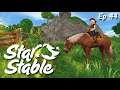 Horseshoe Hunting With Sunchaser | Star Stable Online Ep 44
