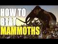 How to beat MAMMOTHS