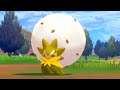 How to Catch ELDEGOSS (Route 5) - Pokemon Sword & Shield