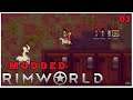 Lets play RimWorld #3 first house done maybe