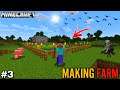 Making A Farm For Eat Some Food || Part-3 || Minecraft Survival Gameplay