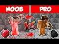 Minecraft NOOB vs PRO : SWAPPED RUBY BATTLE CHALLENGE in Minecraft Animation