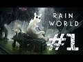 Rain World Training | Part 1 | Slide