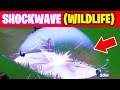 Shockwave wildlife using a shockwave grenade or bow Fortnite