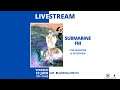 Submarine FM - Livestream @ E.M.I.L. & interview