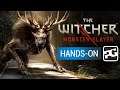 THE WITCHER: MONSTER SLAYER - Android, iPhone, iPad | Gameplay