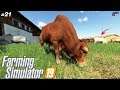 Comprando  Equipamentos Pra Fazer A Alimentação Dos Animais #21 /Farming Simulator 19