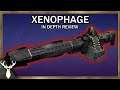 Destiny 2 - Xenophage - In Depth Review (Exotic Heavy Machine Gun)