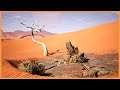 Dune Desert starting area & rework (Update 3 teaser)