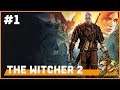 itmeJP Plays: The Witcher 2 Pt. 1
