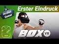 Oculus Quest [deutsch] BoxVR / Erster Eindruck / Review / Gameplay / Test / Fazit Virtual Reality