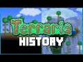 The History of Terraria (2011 - 2020) - DPadGamer