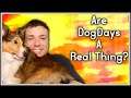 Are Dog Days A Real Thing? | MumblesVideos Dog Topics Explained
