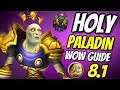 Holy Paladin PvE Healing Guide 8.1 | Talents & Rotation | World of Warcraft Battle for Azeroth