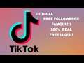 How To Become TikTok Famous in Under 2 Minutes [2021] (100% Real)