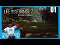 Life is Strange 2: EPISODE 1! Full Playthrough | gogokamy