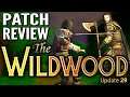 LOTRO News: Update 29 Wildwood Patch Review