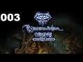 Neverwinter Nights Enhanced Edition | 003 (Neverwinter, In Disarray)