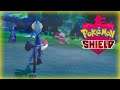 Sick Burn! - Pokemon Shield - Part 7