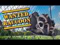 Wanted Raccoon - Seja um guaxinim, só que muito esperto e com habilidades incríveis.