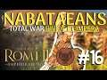 Armies in position : Nabataea -Total War: Rome 2 Divide et Impera - episode 16