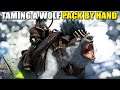 TAMING A WOLF PACK BY HAND | TRIBE WARS | ARK SURVIVAL EVOLVED S2 EP3