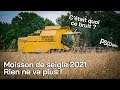 VLOG (à la con) : Une moisson de seigle 100% poisse