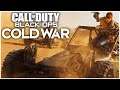 Call of Duty Black Ops Cold War Beta ANGRY REVIEW! | Modern Kangaroo 1.5