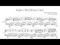 Karel nEscafeX Kocurek - Kopec / The Hill (Skladba pro klavír/Piano music)