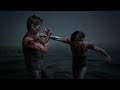 Last of us 2 part 9 the end of the road